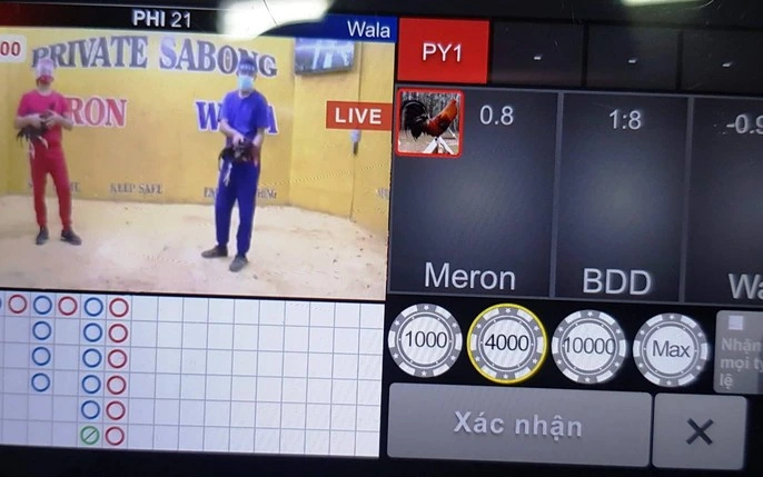 Đá gà online – Khái niệm và sự phát triển